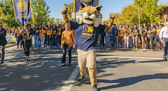 Rufus with bridge crossing