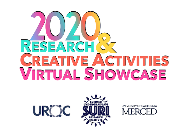 virtual undergraduate research opportunities