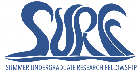 Summer Undergraduate Research Fellowship (SURF) | Undergraduate ...